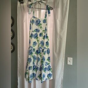 NWOT Pink Lily x Caitlin Covington Hydrangea Dress